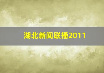 湖北新闻联播2011