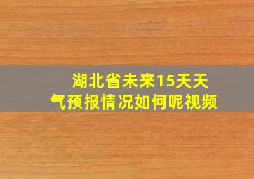 湖北省未来15天天气预报情况如何呢视频