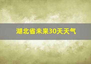 湖北省未来30天天气