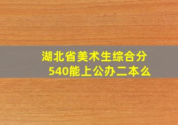 湖北省美术生综合分540能上公办二本么