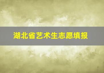 湖北省艺术生志愿填报