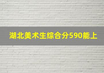 湖北美术生综合分590能上