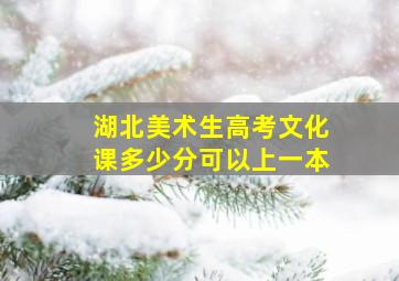 湖北美术生高考文化课多少分可以上一本