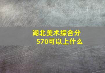 湖北美术综合分570可以上什么