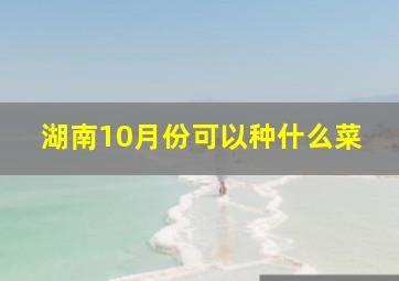 湖南10月份可以种什么菜