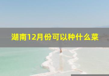 湖南12月份可以种什么菜