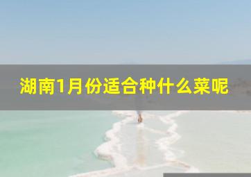 湖南1月份适合种什么菜呢