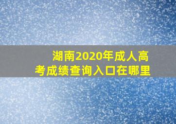 湖南2020年成人高考成绩查询入口在哪里