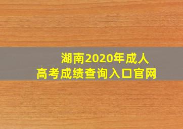 湖南2020年成人高考成绩查询入口官网