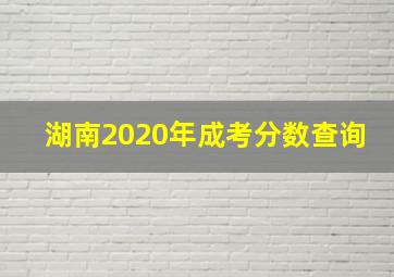 湖南2020年成考分数查询