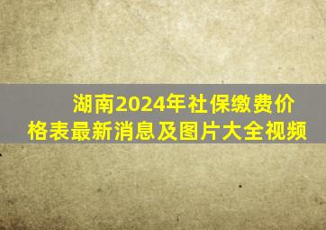 湖南2024年社保缴费价格表最新消息及图片大全视频