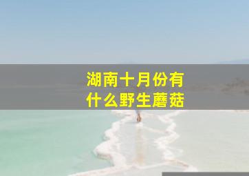 湖南十月份有什么野生蘑菇