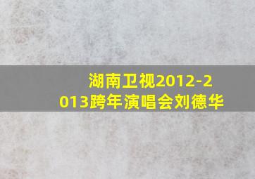 湖南卫视2012-2013跨年演唱会刘德华