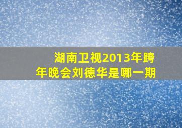 湖南卫视2013年跨年晚会刘德华是哪一期