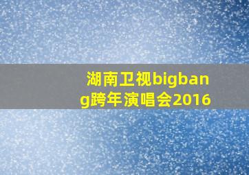 湖南卫视bigbang跨年演唱会2016