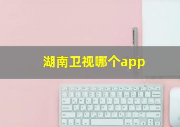 湖南卫视哪个app