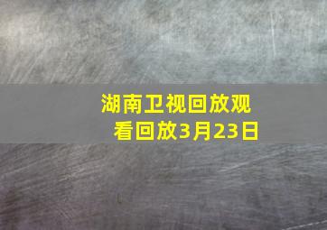 湖南卫视回放观看回放3月23日