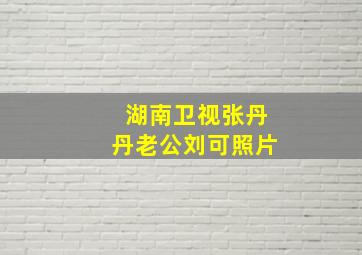 湖南卫视张丹丹老公刘可照片