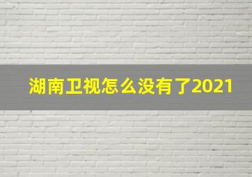 湖南卫视怎么没有了2021