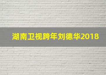 湖南卫视跨年刘德华2018