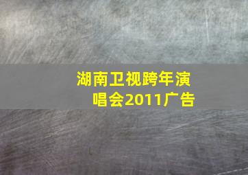 湖南卫视跨年演唱会2011广告