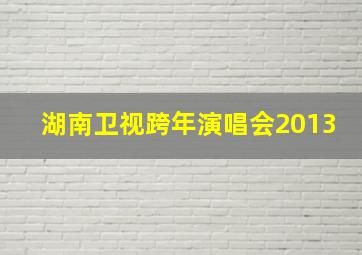 湖南卫视跨年演唱会2013