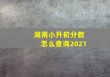 湖南小升初分数怎么查询2021