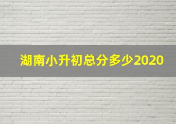 湖南小升初总分多少2020