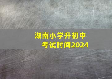 湖南小学升初中考试时间2024