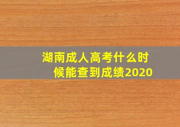 湖南成人高考什么时候能查到成绩2020