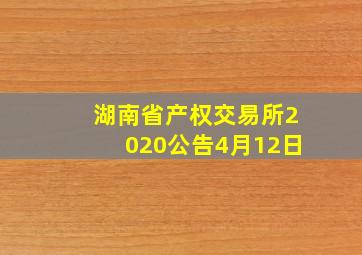 湖南省产权交易所2020公告4月12日