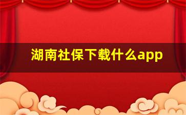 湖南社保下载什么app