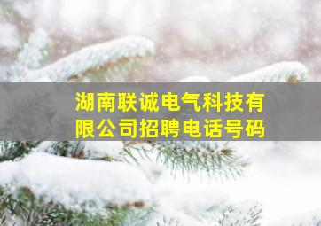 湖南联诚电气科技有限公司招聘电话号码