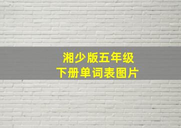 湘少版五年级下册单词表图片