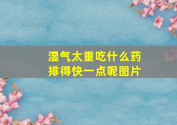 湿气太重吃什么药排得快一点呢图片