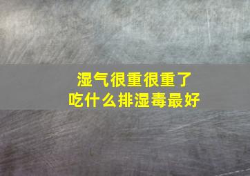 湿气很重很重了吃什么排湿毒最好