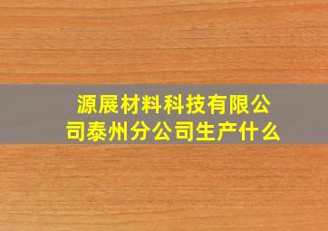 源展材料科技有限公司泰州分公司生产什么