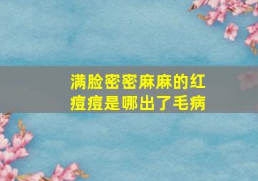 满脸密密麻麻的红痘痘是哪出了毛病