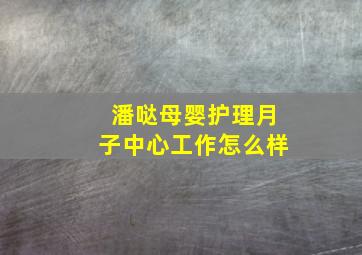 潘哒母婴护理月子中心工作怎么样