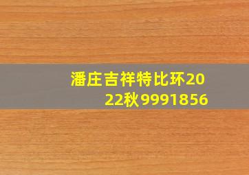 潘庄吉祥特比环2022秋9991856