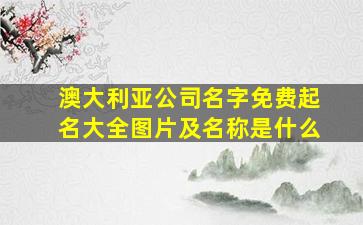 澳大利亚公司名字免费起名大全图片及名称是什么