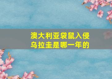 澳大利亚袋鼠入侵乌拉圭是哪一年的