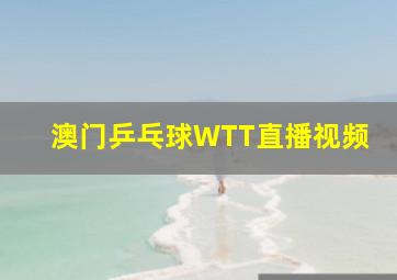 澳门乒乓球WTT直播视频