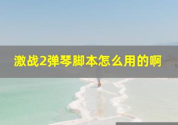 激战2弹琴脚本怎么用的啊