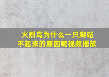 火烈鸟为什么一只脚站不起来的原因呢视频播放