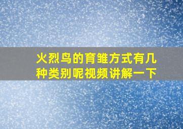 火烈鸟的育雏方式有几种类别呢视频讲解一下