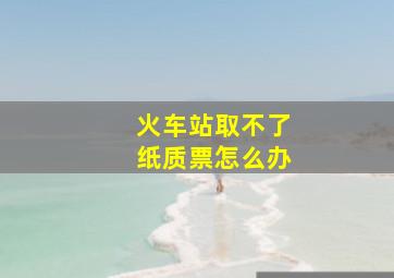 火车站取不了纸质票怎么办