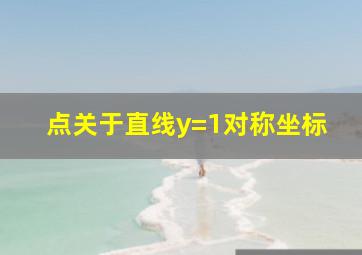 点关于直线y=1对称坐标