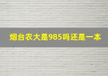 烟台农大是985吗还是一本