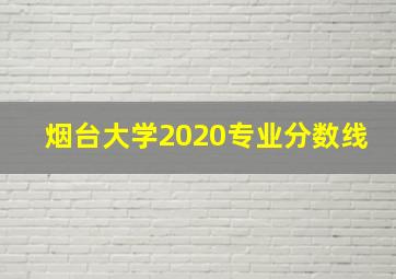 烟台大学2020专业分数线